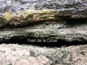 une exurgence : l`oeil de la Doue