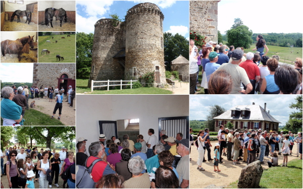 visite de la jumenterie nationale