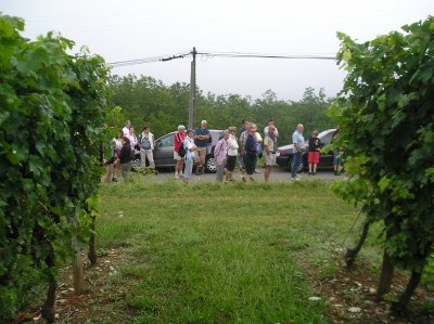 la visite d&eacute;marre au coeur du vignoble branceillais