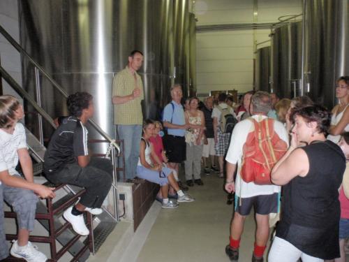 visite de la cave viticole