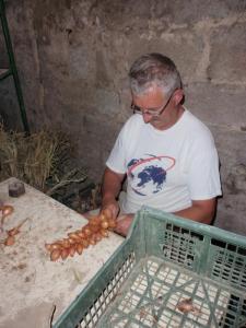 Francis à l`ouvrage !